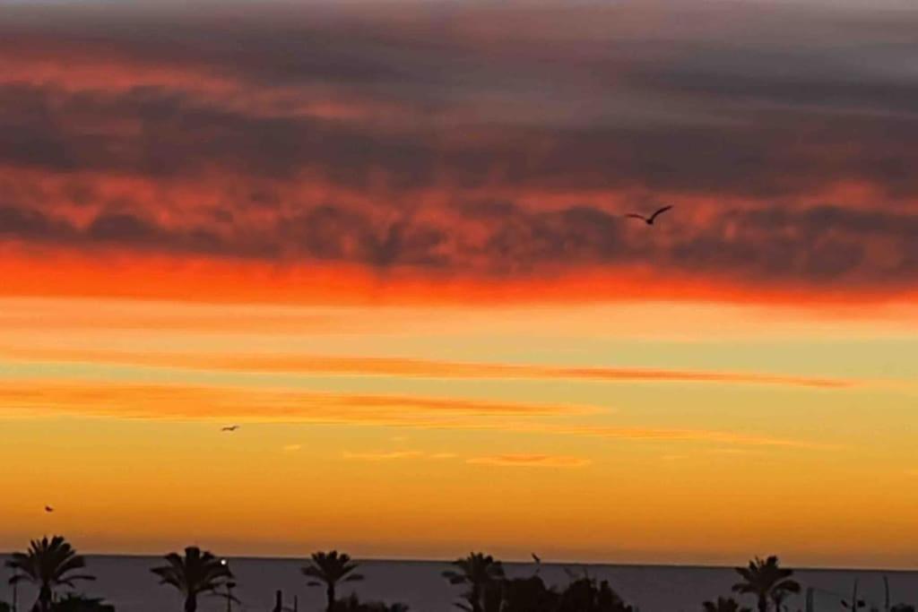 Vinaros Coquet Appartement Vue Mer Dış mekan fotoğraf